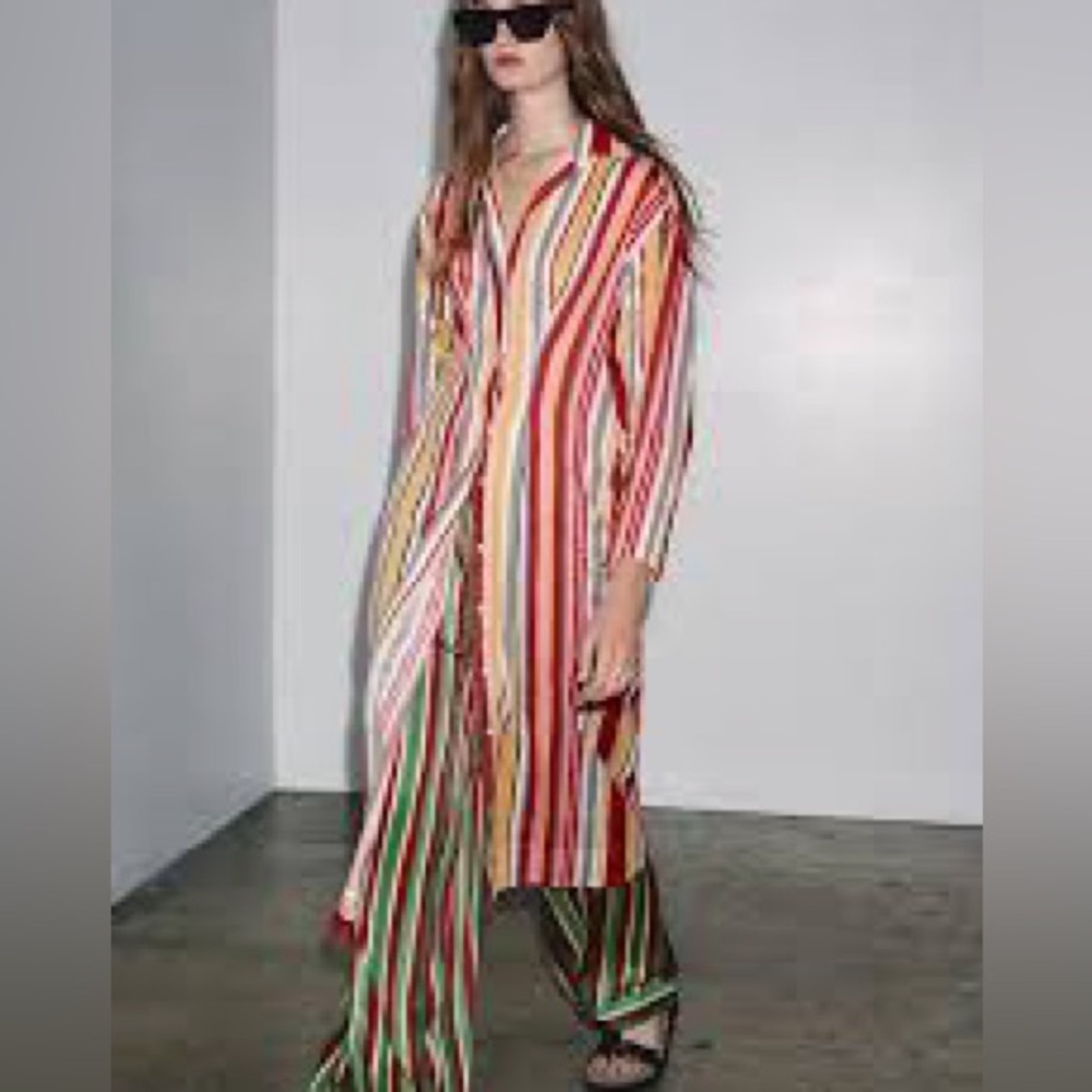 NWT Zara Shirt Dress